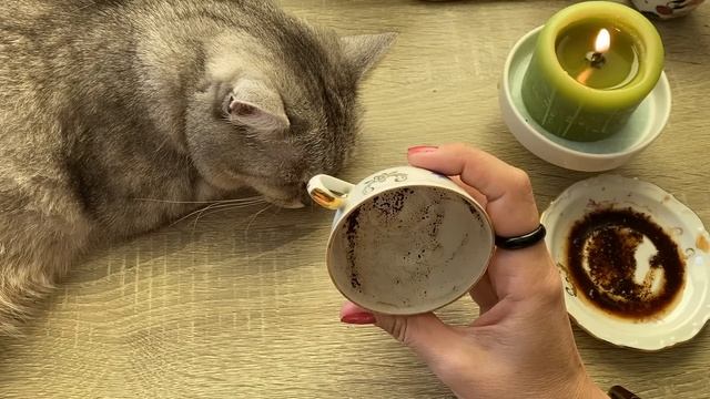 Кто ищет с Вами встречу?! Кофейные подсказки ☕️ смотреть онлайн