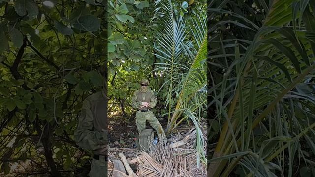 Сегодня поговорим о том, что необходимо в условиях тропического климата. смотреть онлайн