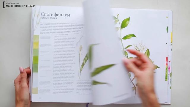 ПОРТРЕТЫ ЦВЕТОВ ОТ А ДО Я смотреть онлайн