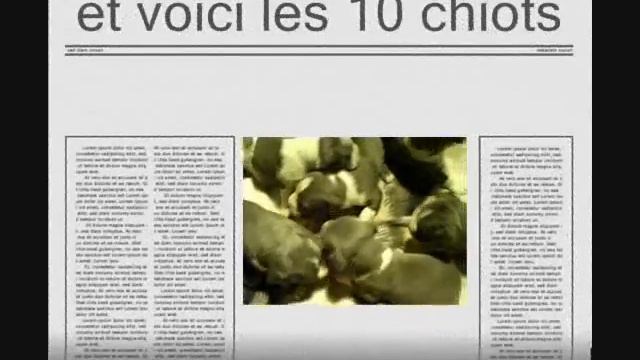 portee de nikita et thorgarde nee le 12 novembre 2010.wmv смотреть онлайн
