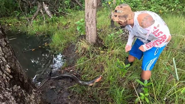 DISSERAM PRAMIM NÃO IR NESSE PÂNTANO ASUSTADOR, AGORA ENTENDI O PORQUE.pescaria. смотреть онлайн