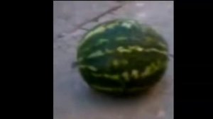 АРБУЗ АРБУЗ ПРИВЕТ, АРБУЗ АРБУЗ ПЕРДНИ