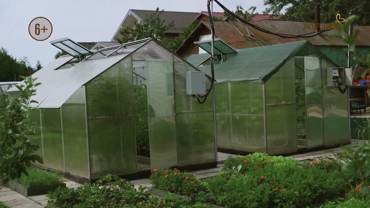 Тепличные истории / Выпуск 1 смотреть онлайн