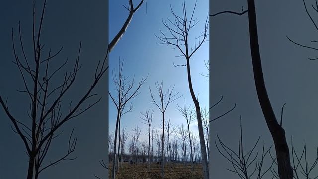 железный купол Любви. пятьдесят четвертая молитва смотреть онлайн