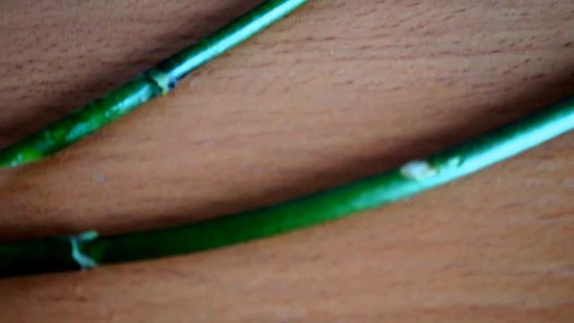 Орхидея.Вторая жизнь для цветоносика.ЦИТОКИНИНОВАЯ ПАСТА смотреть онлайн