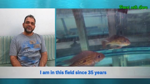 India's First Arowana Breeder I Pooja Trader Farm I part 1 смотреть онлайн