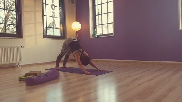 Ashtanga Yoga 1. Serie Teil 1: Sonnengrüße & Standpositionen смотреть онлайн