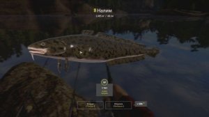 Ловим Налима • Точка и Прикорм • Фидерная ловля • Озеро Куори • Русская Рыбалка 4 #26