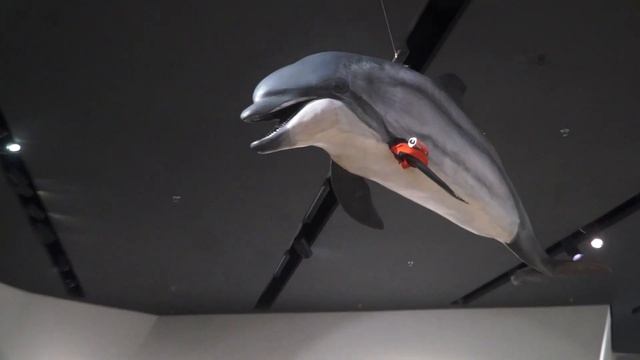 Дрезденский военно исторический музей смотреть онлайн