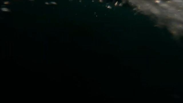 Дельфины в море. Новый свет. Крым. смотреть онлайн