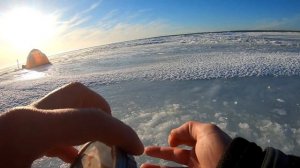 ПОПАЛИ НА КРУПНЯК.ЧУДСКОЕ ОЗЕРО!ЗИМНЯЯ РЫБАЛКА НА МОРМЫШКУ ЯНВАРЬ 2023