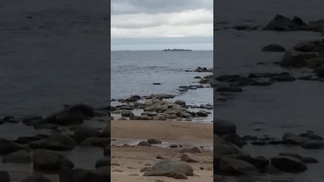 Финский залив,пляжное место СПб смотреть онлайн