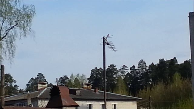 Соловей смотреть онлайн