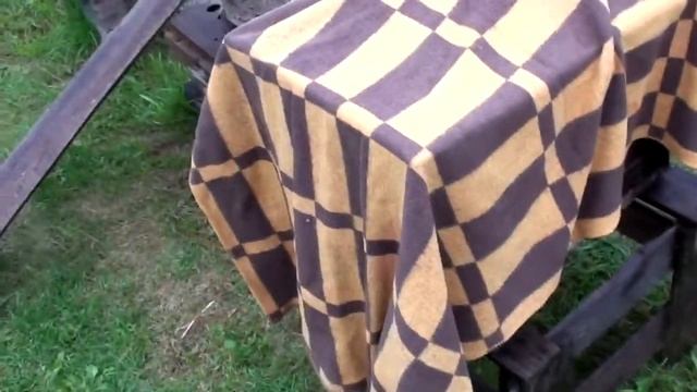 ПОЙМАЛ СРАЗУ ДВА РОЯ!. Везу ловушки из леса на пасеку. Часть 1 #25 смотреть онлайн