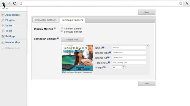 Learn How To Manage Online Banner Ads Campaigns Across Multiple WordPress Sites Tutorial Walkthroug