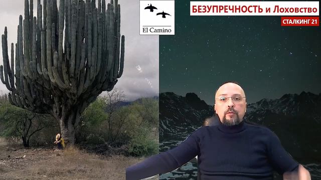 Джняна что такое смотреть онлайн