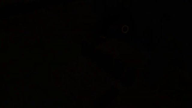 DeadLand VR Gameplay Trailer смотреть онлайн