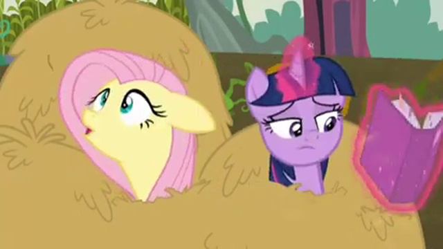 My little pony in Hindi | friendship is magic | the hoffilleds and McClots | S5:E23 смотреть онлайн