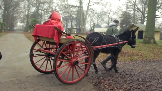 VIDEO DE PRESENTATION ZOO DU BOIS D'ATTILLY смотреть онлайн