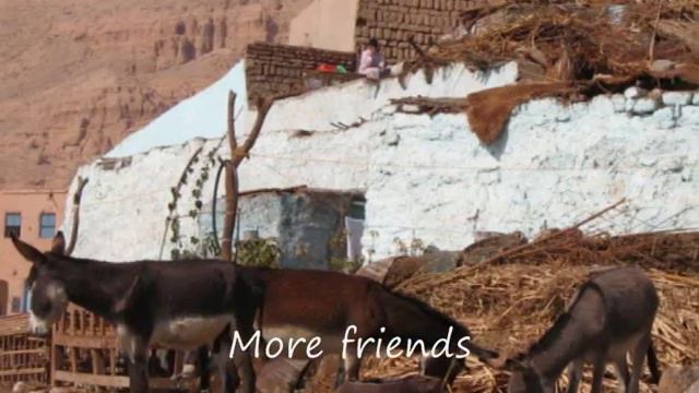 Our home - Egypt смотреть онлайн