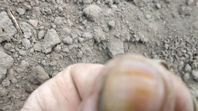 обручалка смотреть онлайн