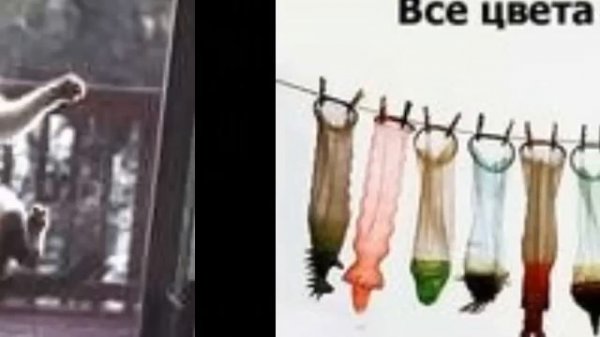 Прикольные картинки для телефона.Funny pictures for your phone..avi