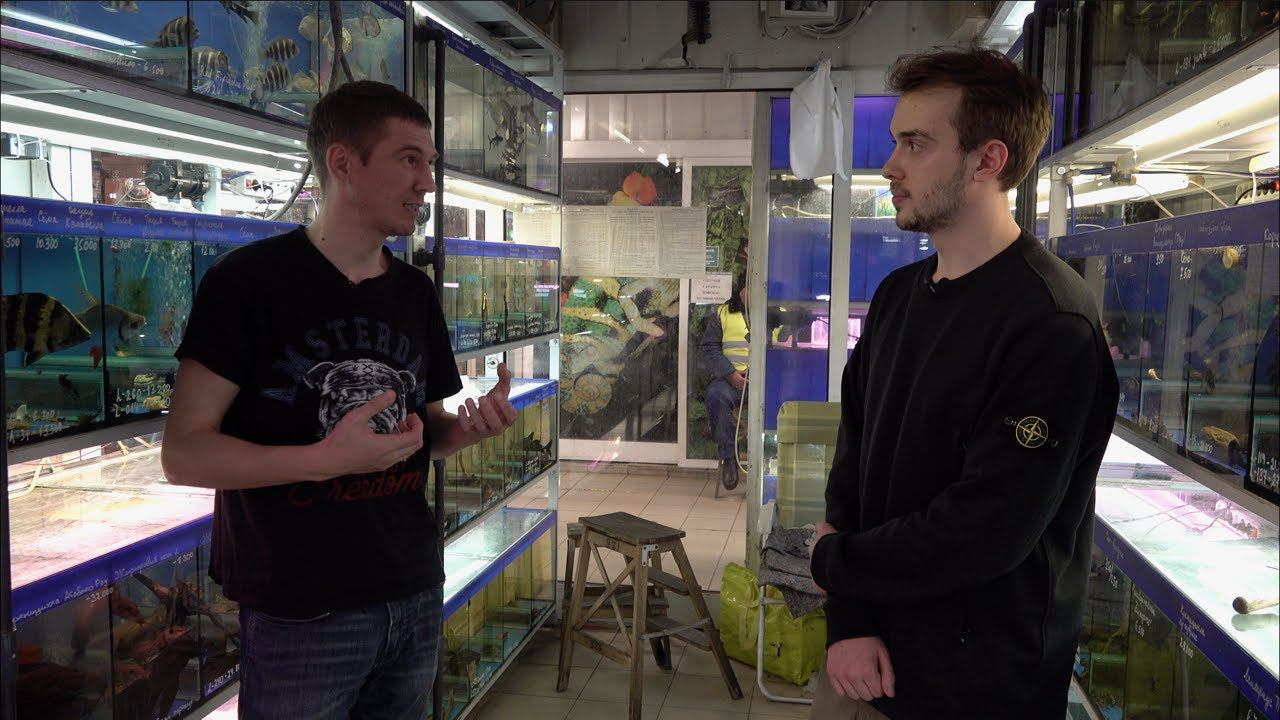 Птичий рынок Поставка номерных сомов из Бразилии смотреть онлайн