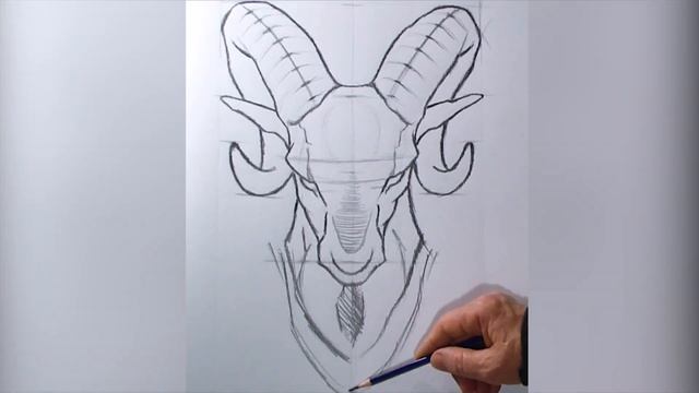 How to draw - Wild Mountain Goat IBEX смотреть онлайн