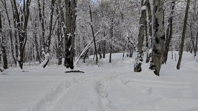 Pajero io Subaru forester Pajero IV Deep Snow смотреть онлайн