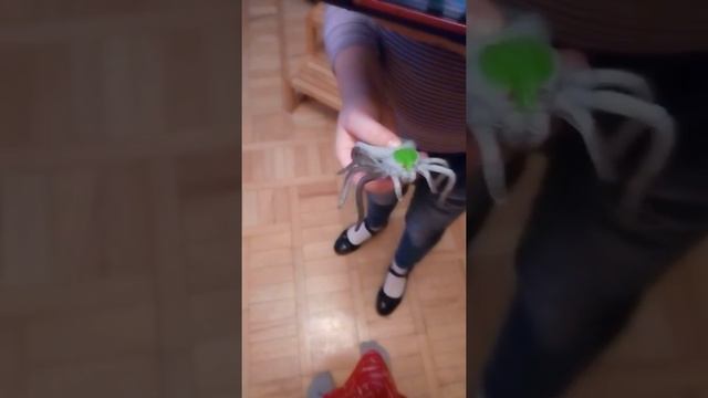 ЧИХУАХУА СОНЯ И ПАУЧОК ПАША смотреть онлайн