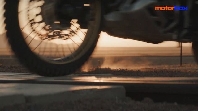 Honda Africa Twin 2020 | La 1100 standard a confronto con l'Africa Twin Adventure Sports смотреть онлайн