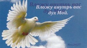 «Пятидесятница»- христианский стих