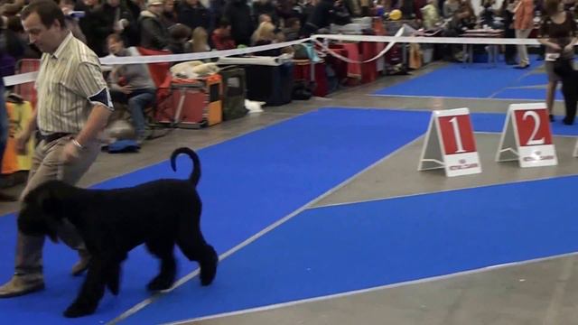 Сравнение ЛС 14,12.13