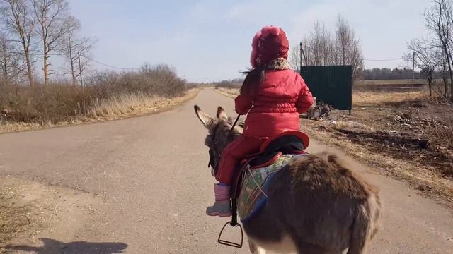 ДЕРЕВЕНСКИЙ БЫТ ЕДА КОРОВА КОЗЫ КАМОРИ ОСЛИКИ смотреть онлайн