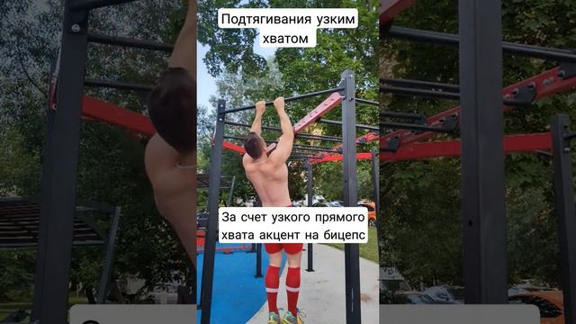 Подтягивания для бицепса смотреть онлайн