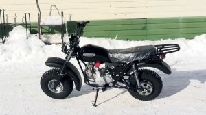 Новые модели Скаутов в продаже - Скаут 3 с двигателем 250, Сафари с телескопической вилкой, Стриж.