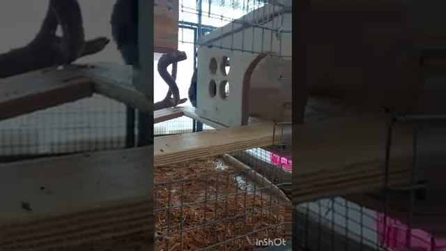 Жизнь в экостудии смотреть онлайн