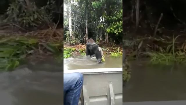 Шалун ))) смотреть онлайн