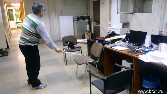 br21.ru - Театр кошек, офисное представление смотреть онлайн