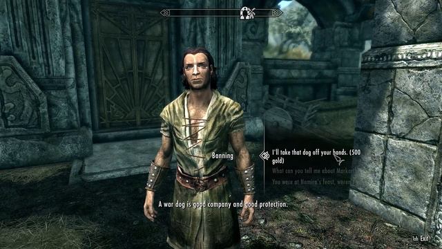 How To Get A Pet For Your House! | Hearthfire DLC | TES V: Skyrim смотреть онлайн