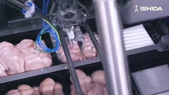 Wall to wall processing and packing of fresh chicken Wipasz Poland смотреть онлайн