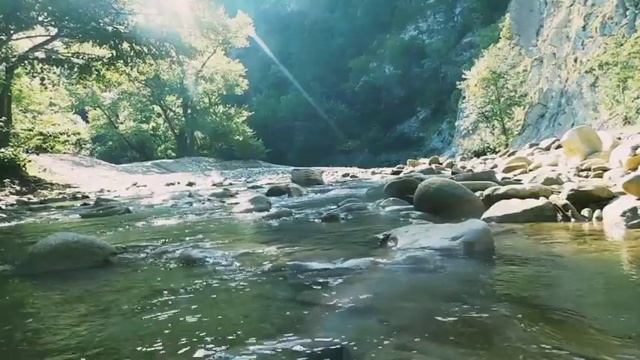 Звуки природы. Утренняя река Пшада. Расслабляющий шум воды для релаксации, сна и отдыха 2 часа. смотреть онлайн