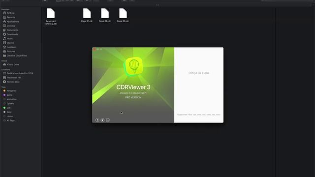 How to open CorelDRAW Graphic Files on macOS! - Convert to PDF, PNG!... смотреть онлайн