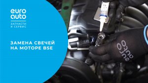 Замена свечей на моторе BSE