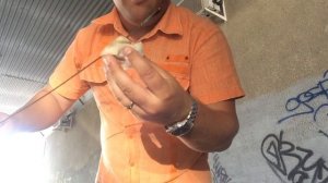 Регулировка фар на Mazda 6 gg