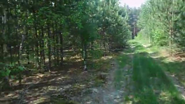 За грибами в мае смотреть онлайн