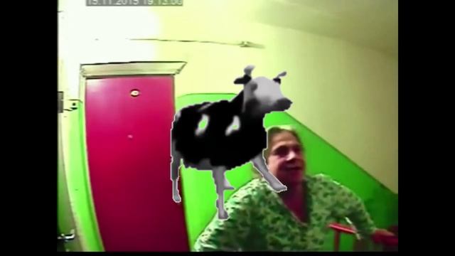 польская корова танцует с сумасшедшей бабкой и леонидом каневским смотреть онлайн