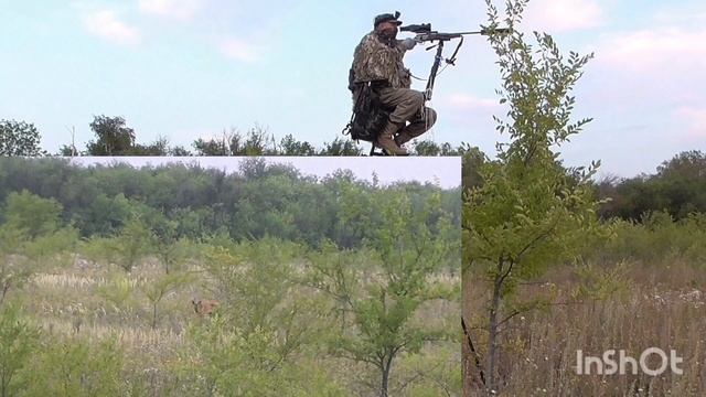 Охота на самца косули с манком. Гон слабеет. 2022.mp4 смотреть онлайн