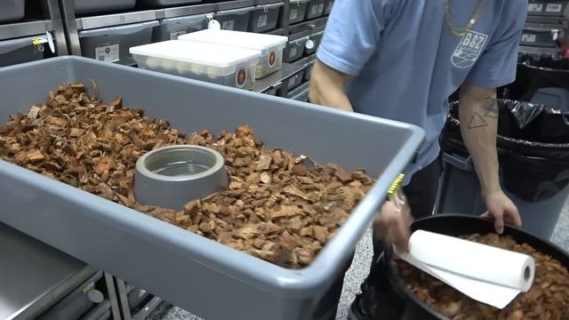 How We Put Away Ball Python Eggs At Mutation Creation смотреть онлайн