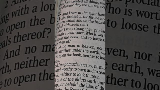 Revelation 5 KJV. (chapter in description) #seekgodfirst #praisegodeveryday #jesusisking смотреть онлайн